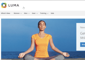 Magento 2 Setup Guide on XAMPP with Elasticsearch